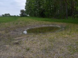 Sub-site 7 'FFH priority Ettling' - Measure C.10: Creation of a temporary small water body as a habitat for amphibians