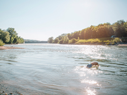 Experience the river Isar