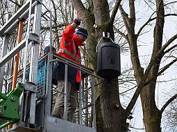 Sub-site 2 ' coherence priority Dingolfing' - Measure C.20: Installation of nesting boxes to replace cleared trees as part of hydraulic engineering measures