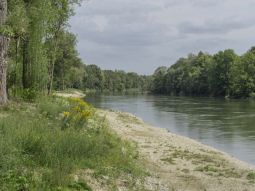 Sub-site 1 FFH priority Loiching - Measures C.1 - C.5: The Isar river becomes accessible and experienceable again.