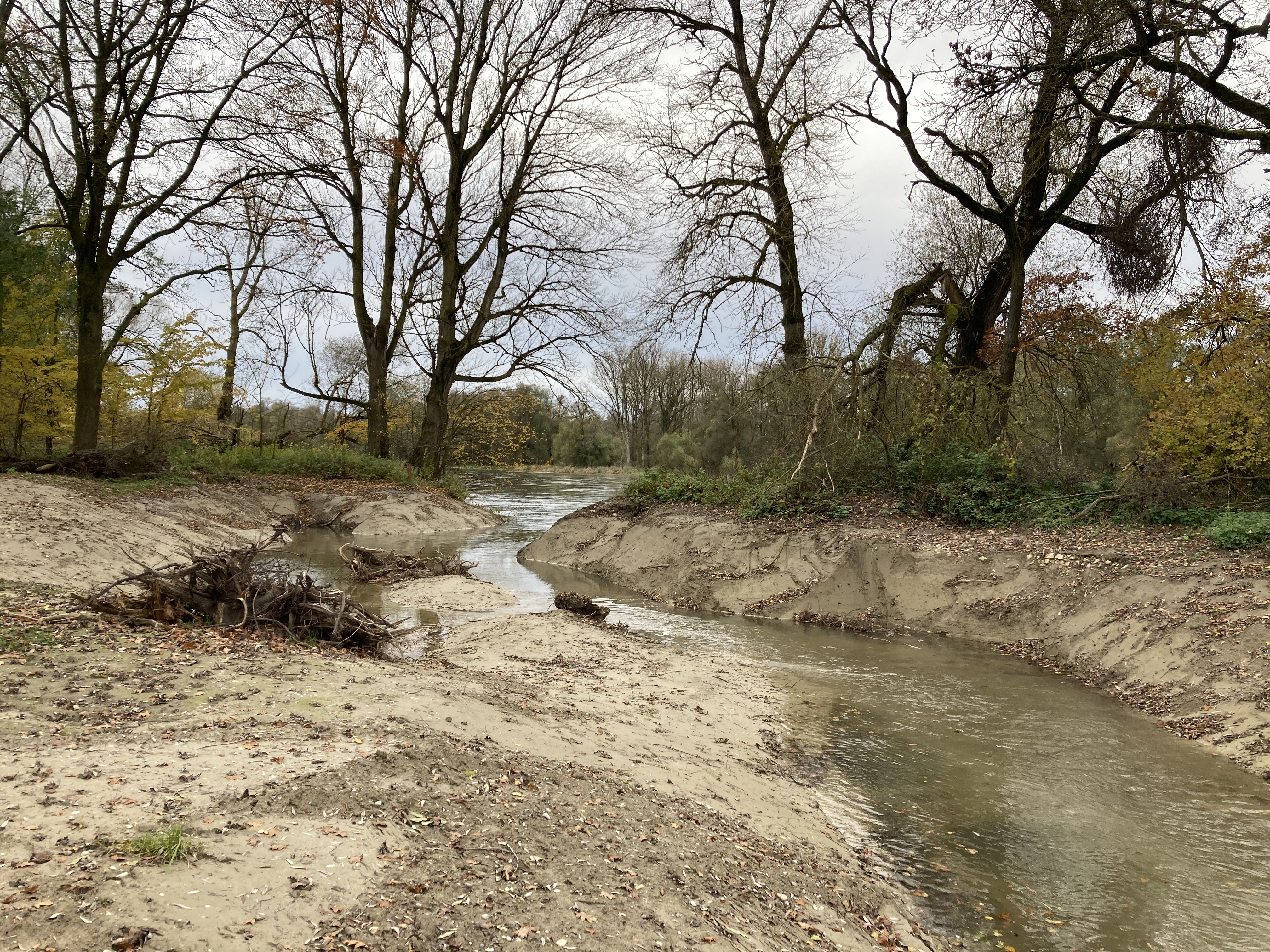 Beispiel für Renaturierungsmaßnahme