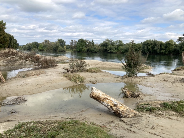 Beispiel für Totholzstrukturen