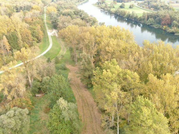 Freistellung des Baufeldes