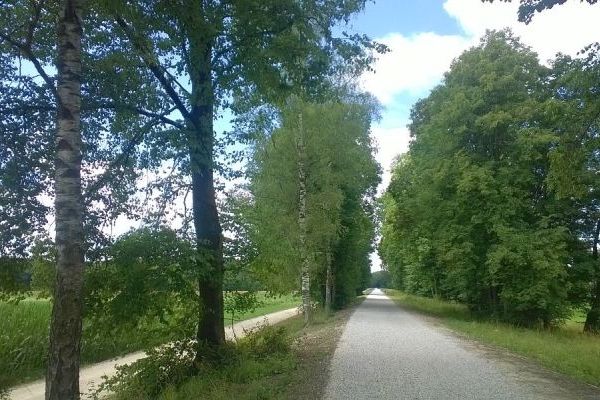 fertiger Flutmuldendeich mit neuem Deichkronenweg und Deichhinterweg fertiger Flutmuldendeich mit neuem Deichkronenweg und Deichhinterweg
