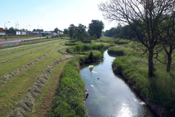 Pflege der Grünflächen im Bahnhofsbereich Pflege der Grünflächen im Bahnhofsbereich
