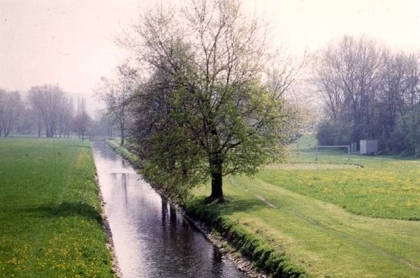 vor der Renaturierung unterhalb der Harlander Brücke vor der Renaturierung unterhalb der Harlander Brücke