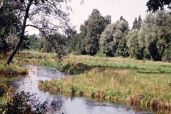 Bereich Mainburger Brücke Bereich Mainburger Brücke