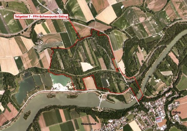 Teilgebiet 7 - Kohärenzschwerpunkt Ettling Teilgebiet 7 - Kohärenzschwerpunkt Ettling